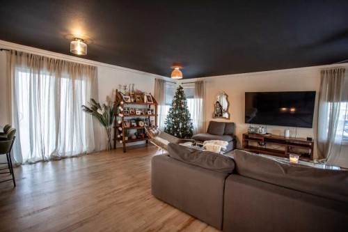 4 Black Spruce Drive, High Level, AB - Indoor Photo Showing Living Room