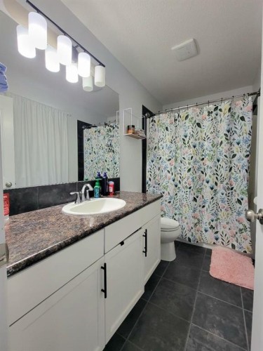 10242 85A Street, Grande Prairie, AB - Indoor Photo Showing Bathroom
