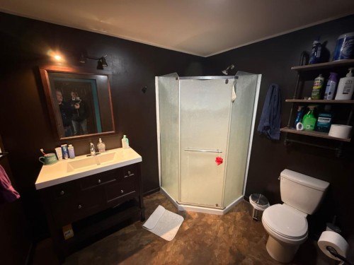 235044 821A Township, Rural Peace No. 135, M.D. Of, AB - Indoor Photo Showing Bathroom