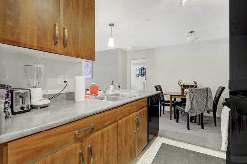 206-9120 96 Avenue, Grande Prairie, AB - Indoor Photo Showing Kitchen With Double Sink