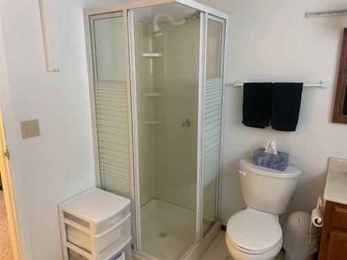 11500 105 Avenue, Fairview, AB - Indoor Photo Showing Bathroom