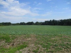 NW-9-89-21-W5 Deadwood  Rural Northern Lights, County Of, AB T0H 1A0