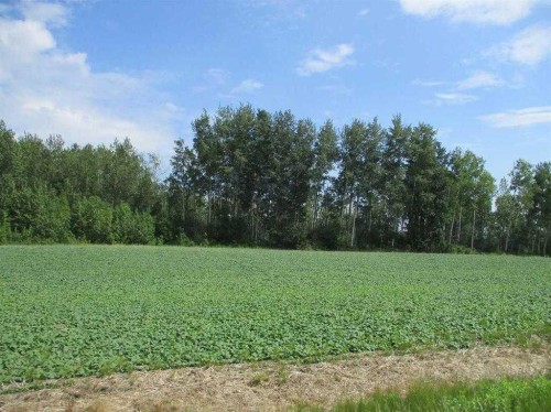 Nw-9-89-21-W5 Deadwood, Rural Northern Lights, County Of, AB 