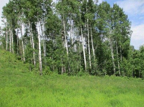 Nw-9-89-21-W5 Deadwood, Rural Northern Lights, County Of, AB 