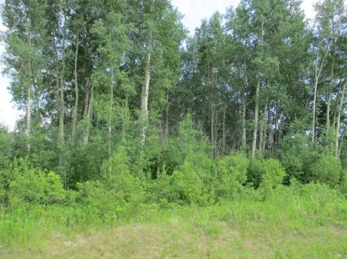 Nw-9-89-21-W5 Deadwood, Rural Northern Lights, County Of, AB 