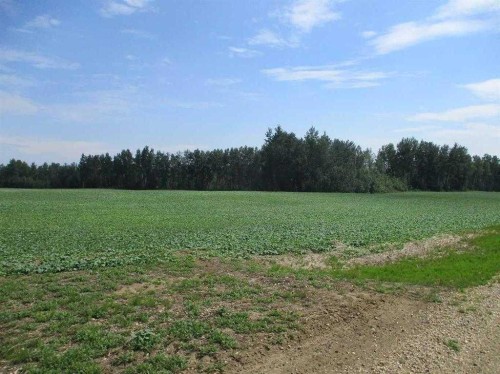 Nw-9-89-21-W5 Deadwood, Rural Northern Lights, County Of, AB 