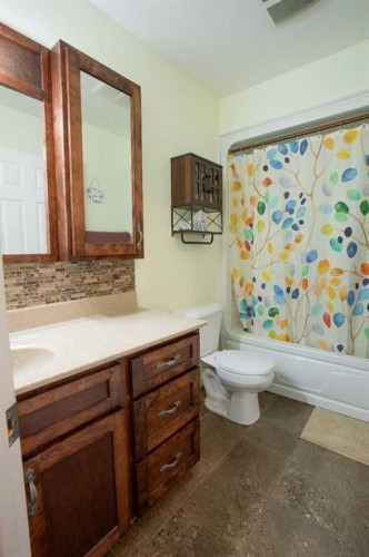 2 Black Spruce Drive, High Level, AB - Indoor Photo Showing Bathroom