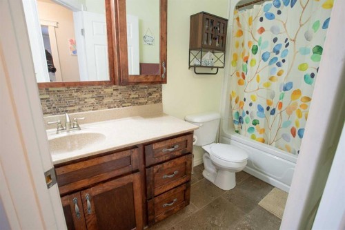 2 Black Spruce Drive, High Level, AB - Indoor Photo Showing Bathroom