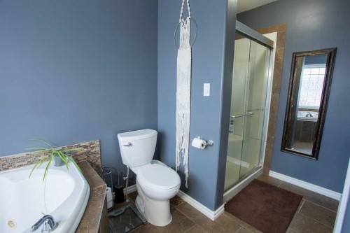 2 Black Spruce Drive, High Level, AB - Indoor Photo Showing Bathroom