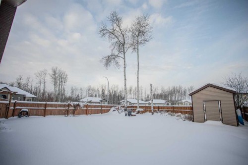 2 Black Spruce Drive, High Level, AB - Outdoor