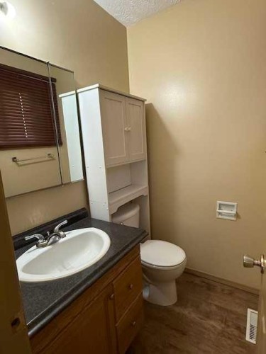 10323 98 Avenue, High Level, AB - Indoor Photo Showing Bathroom