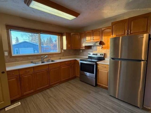 10323 98 Avenue, High Level, AB - Indoor Photo Showing Kitchen With Double Sink