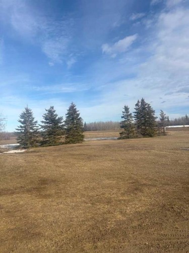 64050 Hwy 49, Rural Spirit River No. 133, M.D. Of, AB - Outdoor With View