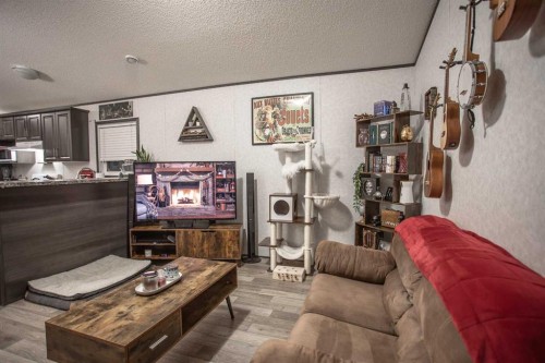 17 Driftwood Drive, High Level, AB - Indoor Photo Showing Living Room