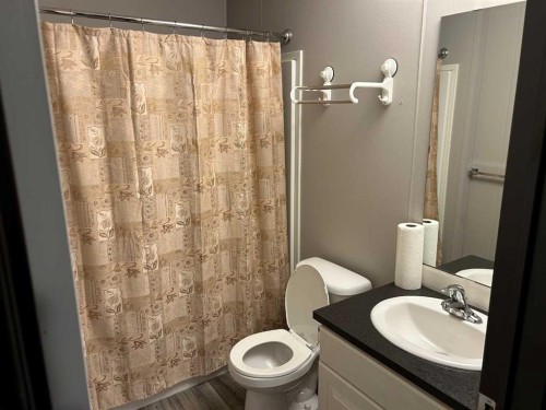 19 4 Street West, Faust, AB - Indoor Photo Showing Bathroom