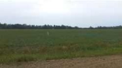 5709 53 Avenue  High Prairie, AB T0G 1E0