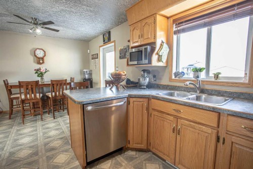2 Bjornson Avenue, High Level, AB - Indoor Photo Showing Kitchen With Double Sink