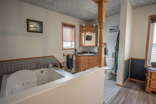 2 Bjornson Avenue, High Level, AB - Indoor Photo Showing Bathroom