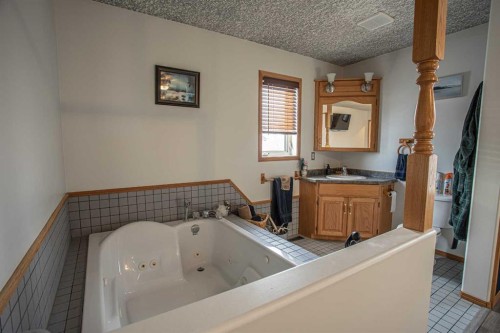 2 Bjornson Avenue, High Level, AB - Indoor Photo Showing Bathroom