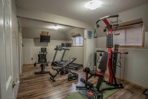 2 Bjornson Avenue, High Level, AB - Indoor Photo Showing Gym Room
