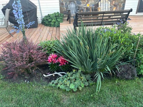 1122 6 Ave West, Beaverlodge, AB - Outdoor With Deck Patio Veranda