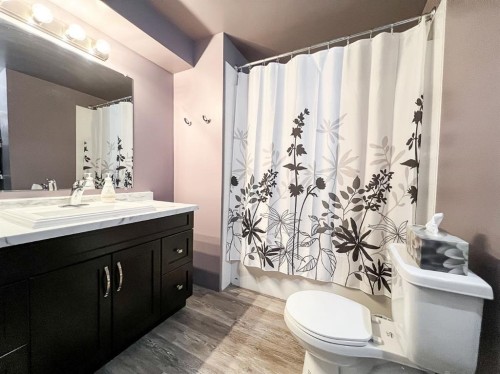 11218 Pinnacle Drive, Grande Prairie, AB - Indoor Photo Showing Bathroom