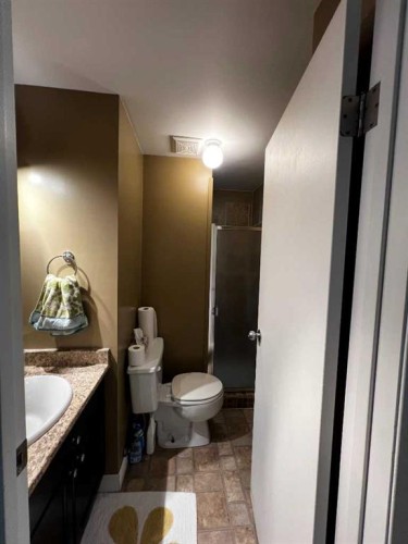 5415 46 Street, Valleyview, AB - Indoor Photo Showing Bathroom