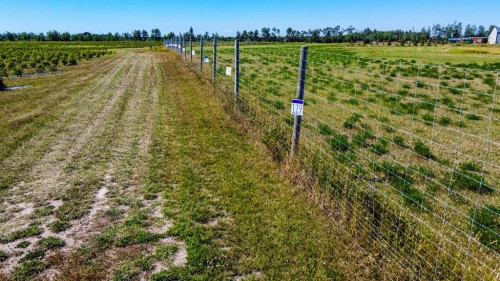 705068 82 Range, Wembley, AB 