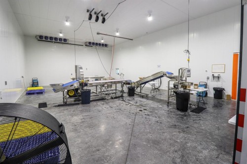 705068 82 Range, Wembley, AB 