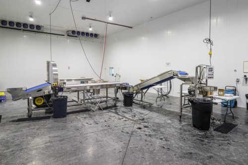 705068 Rge Rd 82, Wembley, AB 