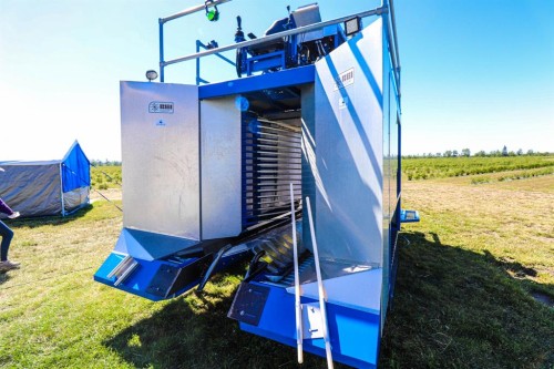 705068 Rge Rd 82, Wembley, AB 