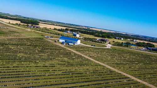 705068 Rge Rd 82, Wembley, AB 