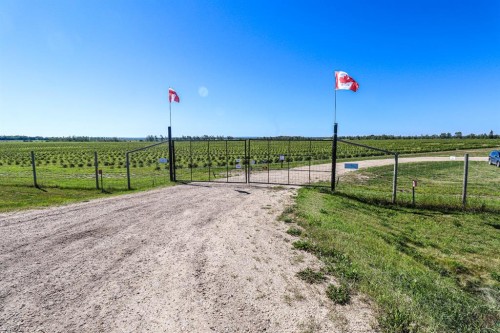 705068 Rge Rd 82, Wembley, AB 