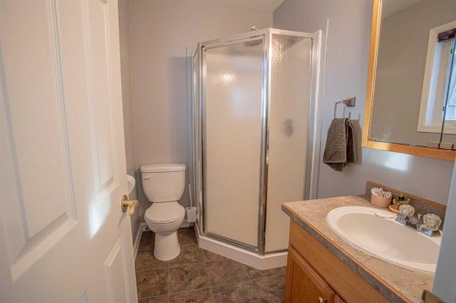 23 Beaver Ranch Drive, High Level, AB - Indoor Photo Showing Bathroom