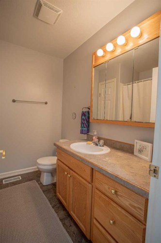 23 Beaver Ranch Drive, High Level, AB - Indoor Photo Showing Bathroom