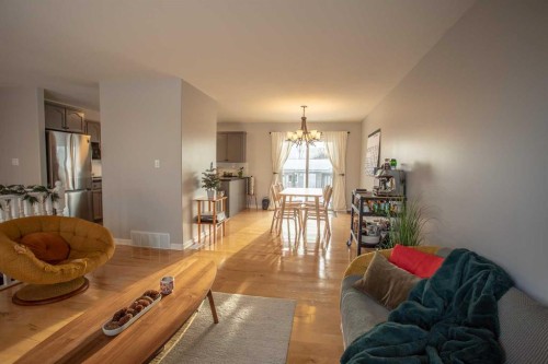23 Beaver Ranch Drive, High Level, AB - Indoor Photo Showing Living Room