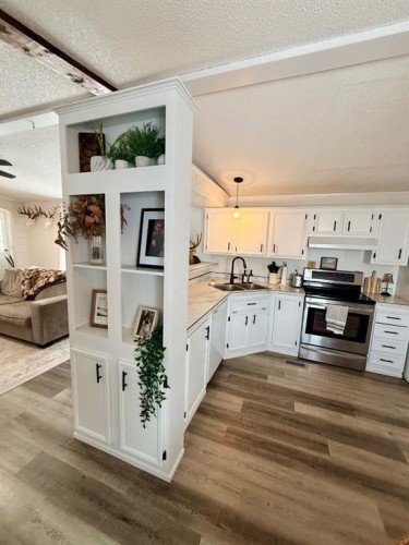 10309 103 Ave, La Crete, AB - Indoor Photo Showing Kitchen With Double Sink