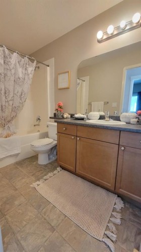 101C-8640 103 Avenue, Grande Prairie, AB - Indoor Photo Showing Bathroom