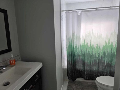 10853 99 Avenue, Grande Cache, AB - Indoor Photo Showing Bathroom