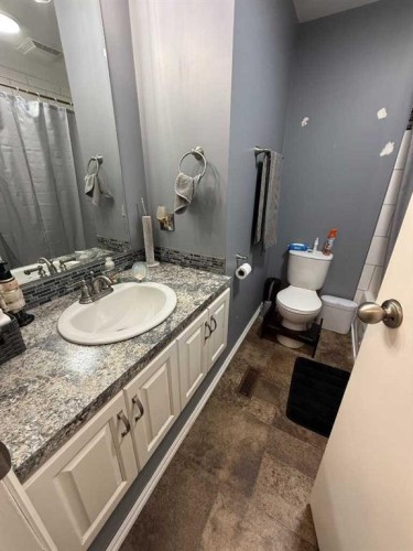 10402 101 Street, High Level, AB - Indoor Photo Showing Bathroom