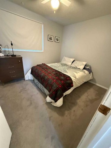 10402 101 Street, High Level, AB - Indoor Photo Showing Bedroom