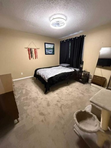 10402 101 Street, High Level, AB - Indoor Photo Showing Bedroom