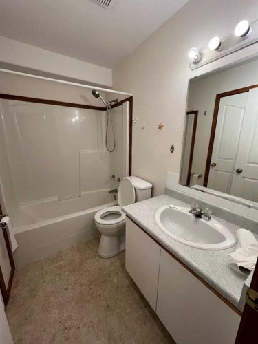 #3-1006 3Rd Avenue, Beaverlodge, AB - Indoor Photo Showing Bathroom