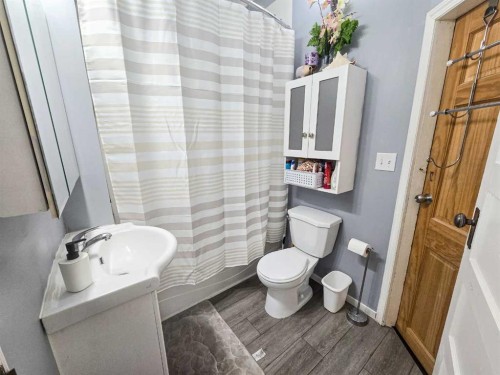 4704 47 Avenue, Spirit River, AB - Indoor Photo Showing Bathroom