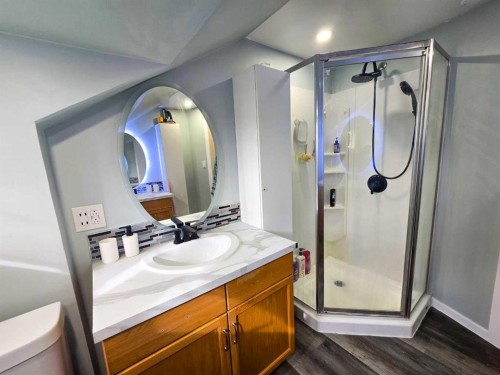 4704 47 Avenue, Spirit River, AB - Indoor Photo Showing Bathroom