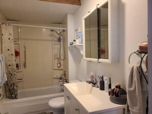 5217 50 Street, Eaglesham, AB - Indoor Photo Showing Bathroom