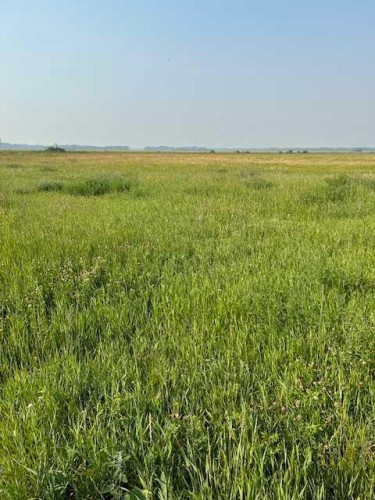 18142 Township Road 1102, Rural Mackenzie County, AB - Outdoor With View