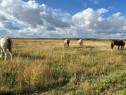 18142 Township Road 1102, Rural Mackenzie County, AB  - Outdoor With View 
