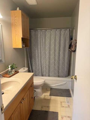 11510 Manning, Grande Cache, AB - Indoor Photo Showing Bathroom