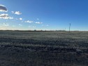 Ne-16-77-21-W5 Range Rd 213, Falher, AB 